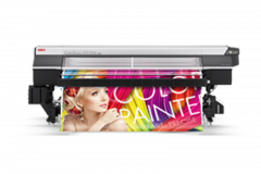 Mimaki Color Painter Printer